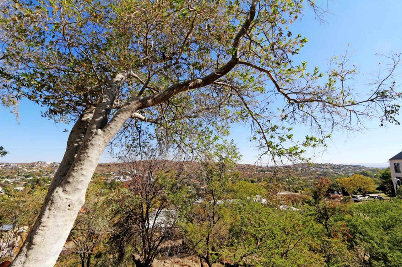 Herzinger Boutique Guesthouse Klein Windhoek Extérieur photo